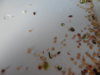DSC02568.JPG
