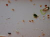DSC02569.JPG