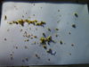 DSCN6872.JPG