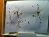 DSCN6873.JPG