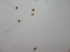DSC02516.JPG