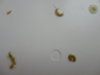 DSC02578.JPG