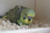 DSC00318.JPG