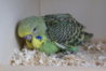 DSC00319.JPG