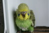DSC00323.JPG
