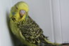 DSC00344.JPG