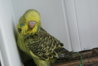 DSC00336.JPG