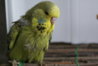DSC00345.JPG