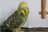 DSC00346.JPG