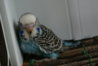 DSC00360.JPG