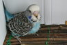 DSC00357.JPG