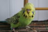 DSC00384.JPG