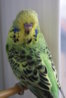 DSC00381.JPG