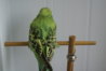 DSC00371.JPG