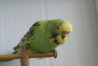 DSC00375.JPG