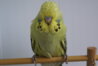 DSC00386.JPG