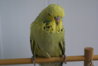 DSC00388.JPG