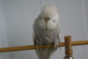DSC00403.JPG