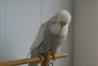 DSC00406.JPG