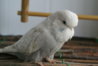 DSC00410.JPG