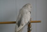 DSC00404.JPG