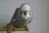 DSC00419.JPG