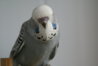 DSC00420.JPG