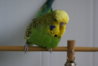 DSC00439.JPG