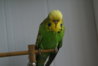 DSC00427.JPG