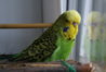 DSC00431.JPG