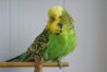 DSC00440.JPG