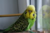 DSC00434.JPG