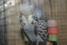 DSC00450.JPG