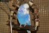DSC00459.JPG