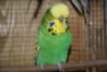 DSC00449.JPG