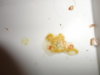 DSC02579.JPG