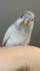 C61DABD7-F913-45C2-A273-13F17C17BAC6.png
