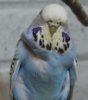 IMG_4152.JPG