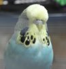 IMG_4168.JPG