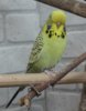 IMG_4142.JPG