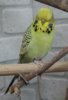 IMG_4144.JPG