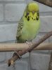 IMG_4146.JPG