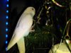 IMG_20181222_163529.jpg