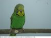 IMG_1907.JPG