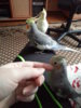 20181226_131201.jpg
