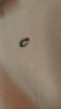 P_20180429_161843_vHDR_On.jpg