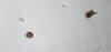 P_20181229_150958_vHDR_Auto_1.jpg