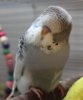 IMG_5059.JPG