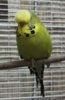 IMG_5127.JPG