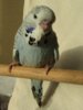 IMG_6503.JPG